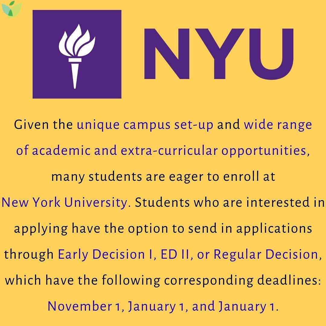 apply for nyu scholarship
